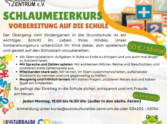 Schlaumeierkurs
